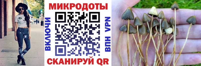 кракен сайт  магазин продажи наркотиков  Туймазы  Псилоцибиновые грибы Cubensis 